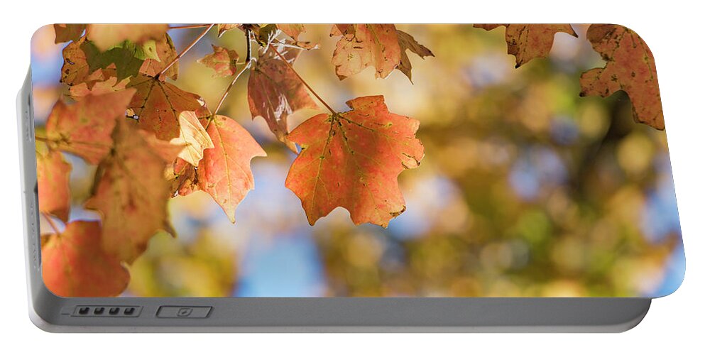 Autumn Portable Battery Charger featuring the photograph Autumn Splendor by Holly Ross