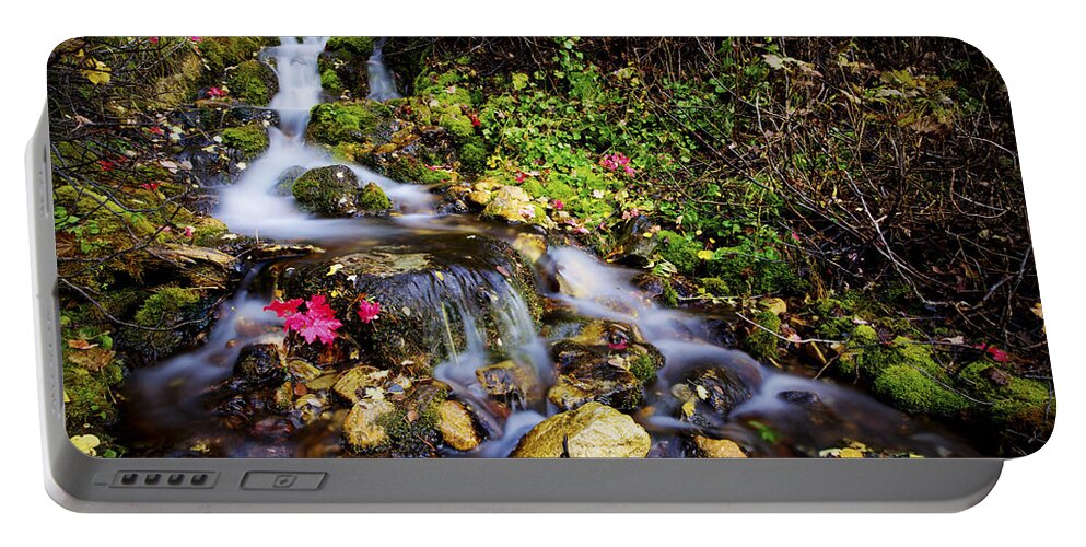 Nature Portable Battery Charger featuring the photograph Autumn Stream by Chad Dutson