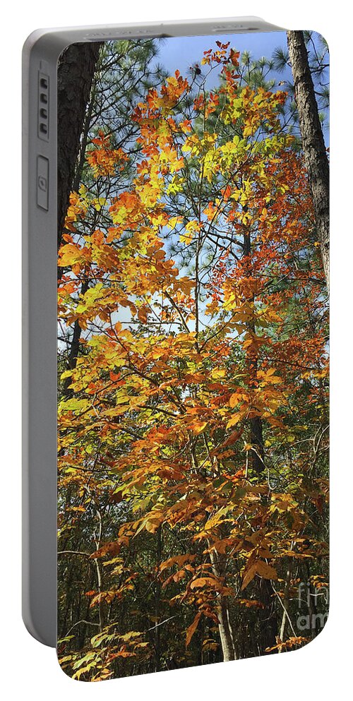 Autumn Portable Battery Charger featuring the photograph Autumn Sunday by Matthew Seufer