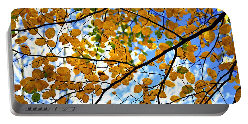 Fall Portable Battery Charger featuring the photograph Autumn tree branches by Elena Elisseeva