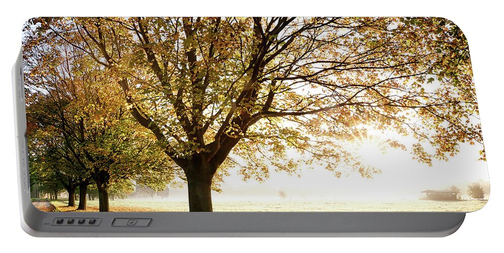 Autumn Portable Battery Charger featuring the photograph Autumn trees with glorious sunrise by Simon Bratt