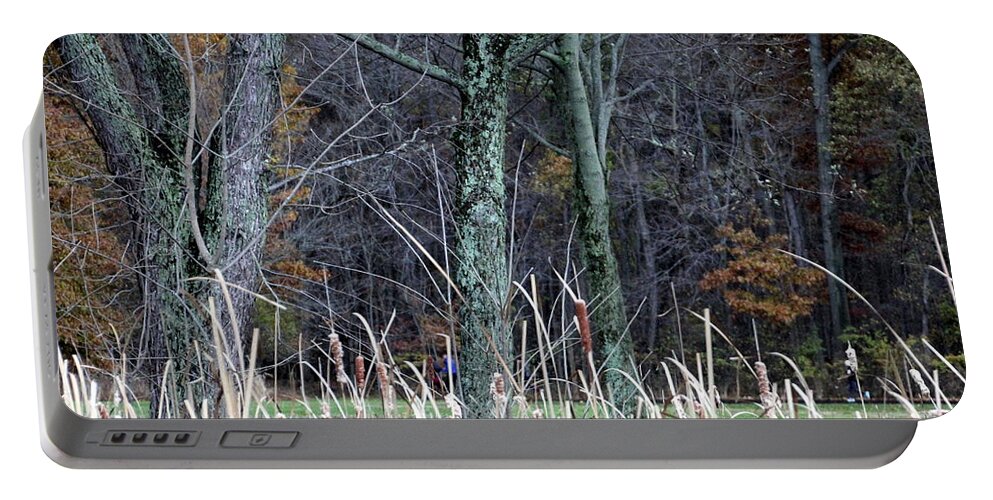 Woods Portable Battery Charger featuring the photograph Autumn Woods by Valerie Collins