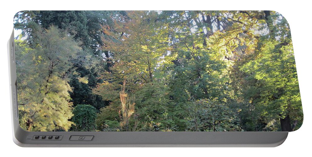 Gold Portable Battery Charger featuring the photograph Autumnal Delight Madrid by Laura Davis
