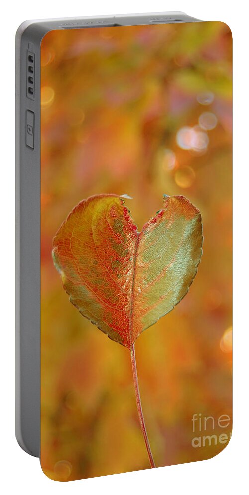 Heart Portable Battery Charger featuring the photograph Autumn's Golden Splendor by Debra Thompson