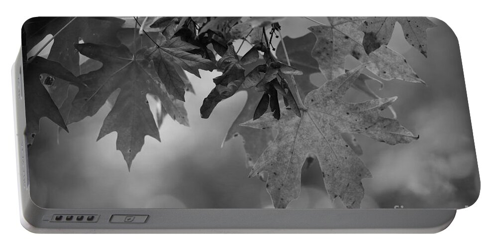 Autumn Portable Battery Charger featuring the photograph Autumn's Mystery by Sheila Ping