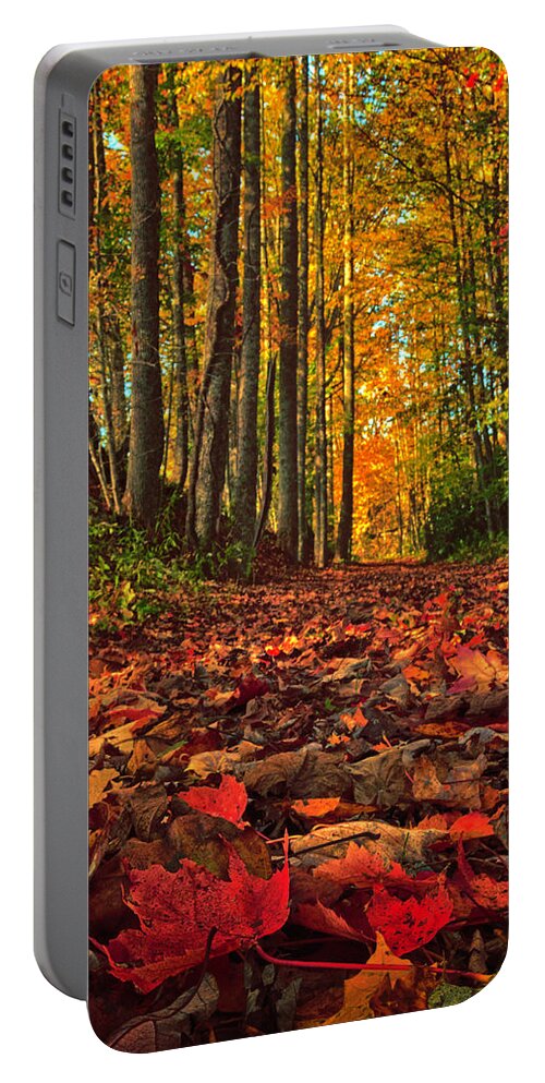 Autumn Portable Battery Charger featuring the photograph Autumn's Walkway by Kevin Senter