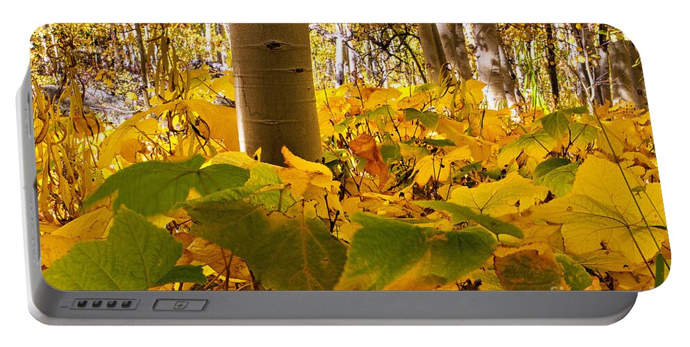 Autumn Colors Portable Battery Charger featuring the photograph Autumn's Warm Embrace by Jim Garrison