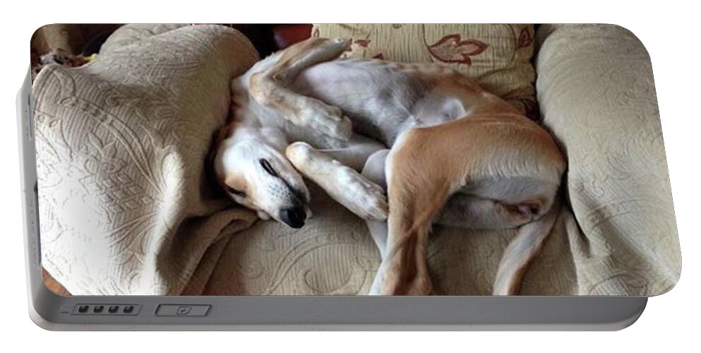 Persiangreyhound Portable Battery Charger featuring the photograph Ava - Asleep On Her Favourite Chair by John Edwards