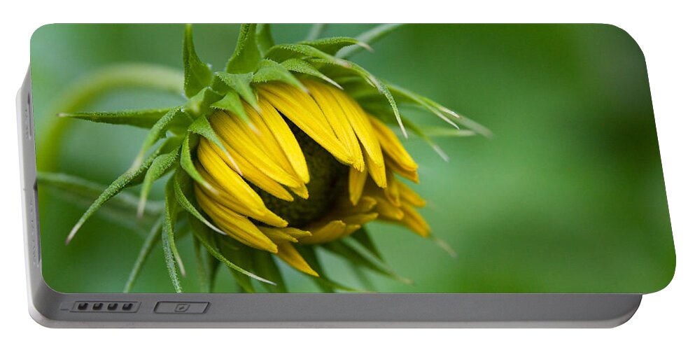Sunflower Bud Opening Portable Battery Charger featuring the photograph Awakening by Diane Macdonald