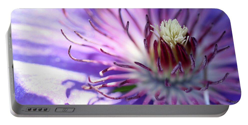 Flower Portable Battery Charger featuring the photograph Awakening by Mary Anne Delgado