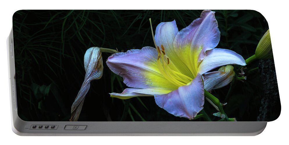 Hayward Garden Putney Vermont Portable Battery Charger featuring the photograph Awesome Daylily by Tom Singleton