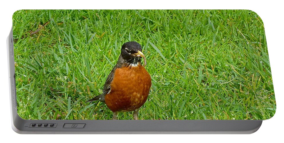 Birds Portable Battery Charger featuring the photograph Babies To Feed by Diana Hatcher