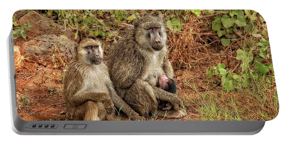 Africa Portable Battery Charger featuring the photograph Baboon Family in Kenya by Mitchell R Grosky