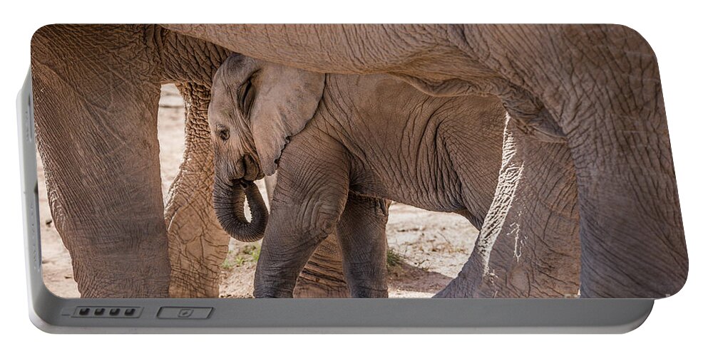 5-months Old Portable Battery Charger featuring the photograph Baby African Elephant Between Mothers Legs by Al Andersen