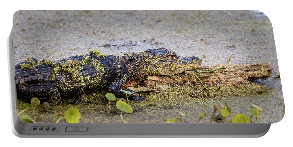  Portable Battery Charger featuring the photograph Baby Alligator by Les Greenwood