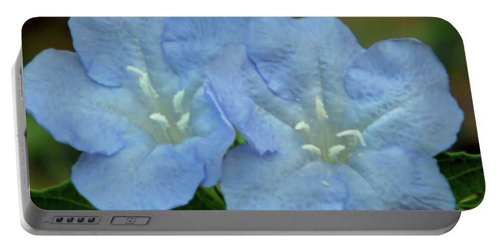 Wild Petunia Portable Battery Charger featuring the photograph Baby Blues by D Hackett