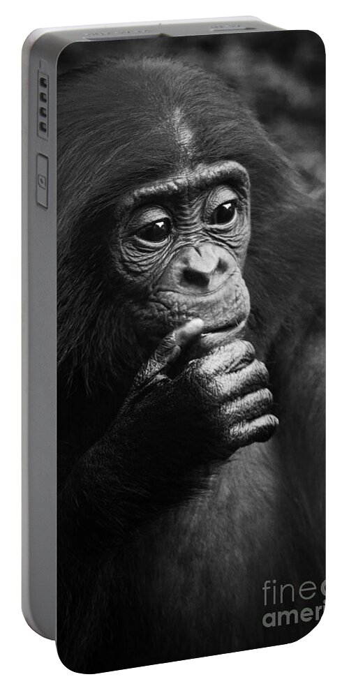 Bonobo Portable Battery Charger featuring the photograph Baby Bonobo by Heiko Koehrer-Wagner