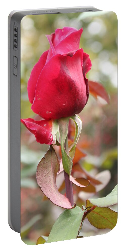 Rose Portable Battery Charger featuring the digital art Baby Boomer by Linda Ritlinger