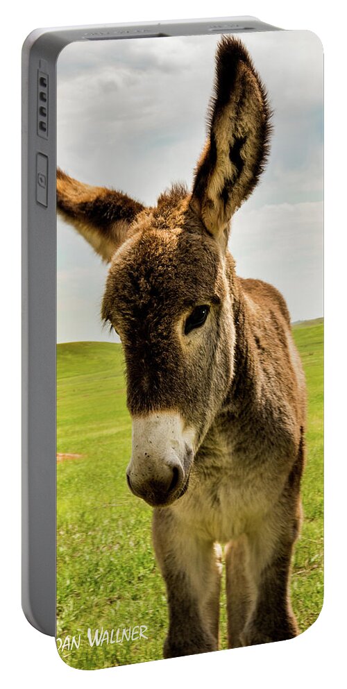 Black Hills Portable Battery Charger featuring the photograph Baby Burro by Joan Wallner