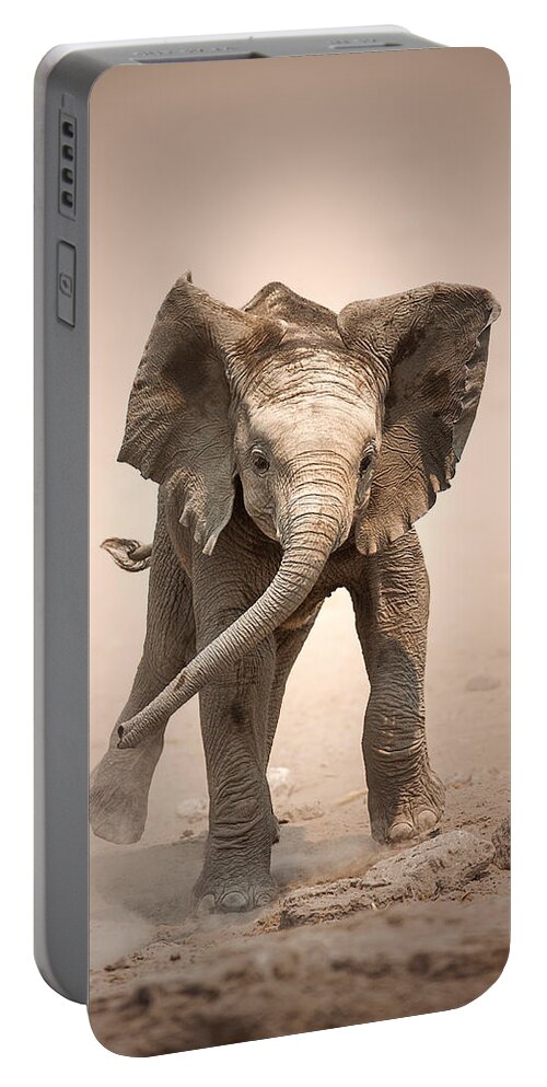 Elephant Portable Battery Charger featuring the photograph Baby Elephant mock charging by Johan Swanepoel