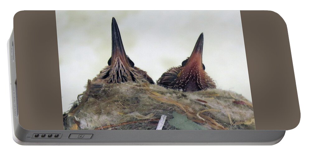 Hummingbirds Portable Battery Charger featuring the photograph Baby Hummers 3 by Helaine Cummins