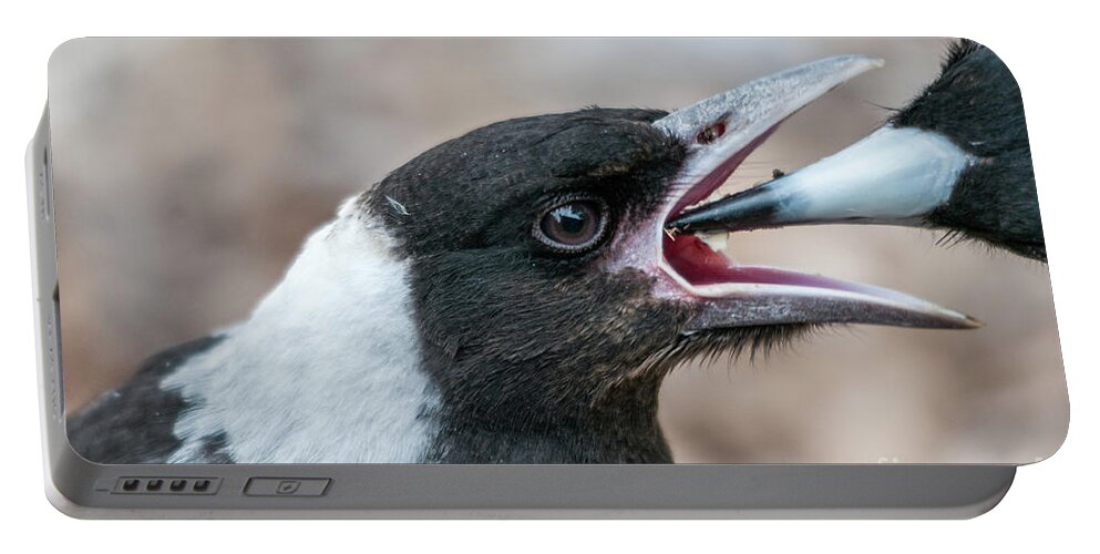 Magpie Portable Battery Charger featuring the photograph Baby Magpie 2 by Werner Padarin