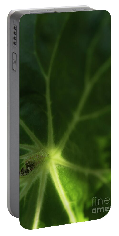 Back Lit Portable Battery Charger featuring the photograph Back lit green leaf by Kiran Joshi