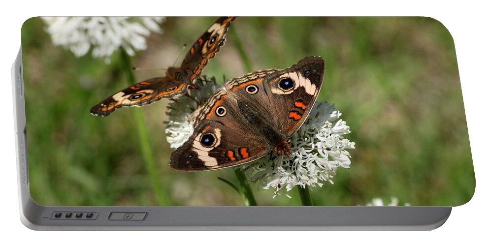 Nature Portable Battery Charger featuring the photograph Back to Back Butterflies by Sheila Brown