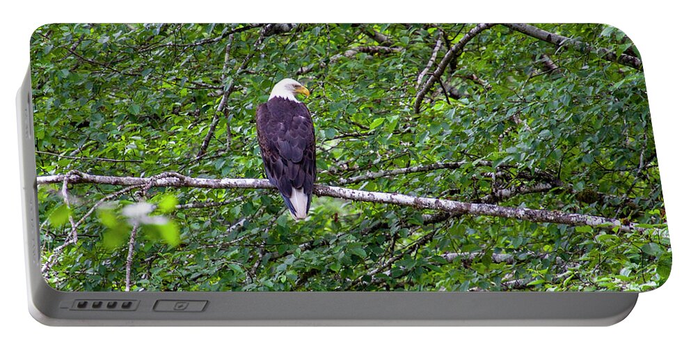 Bald Eagle Portable Battery Charger featuring the photograph Bald Eagle 1 by Anthony Jones