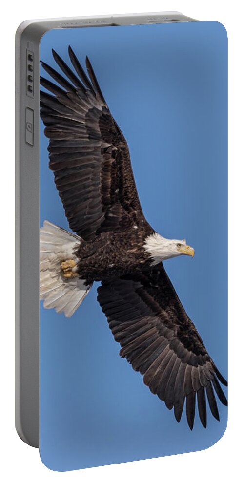 American Bald Eagle Portable Battery Charger featuring the photograph Bald Eagle 2018-1 by Thomas Young