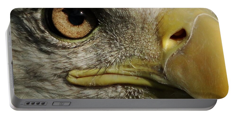 Bald Eagle Portable Battery Charger featuring the photograph Bald Eagle Eye by Liz Vernand