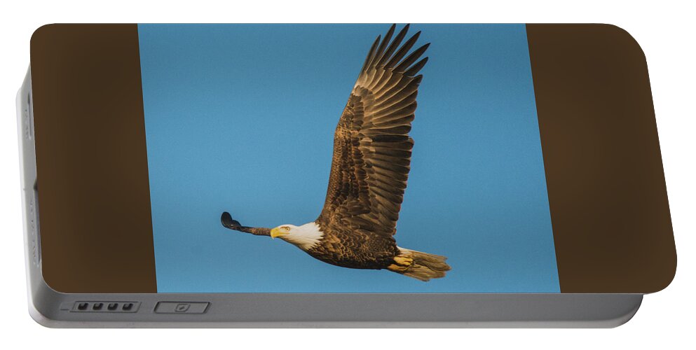 11 November 2016 Portable Battery Charger featuring the photograph Bald Eagle Fly-By by Jeff at JSJ Photography