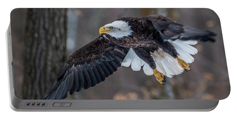 Bald Eagle Portable Battery Charger featuring the photograph Bald Eagle Flying Thru the Forest by Paul Freidlund