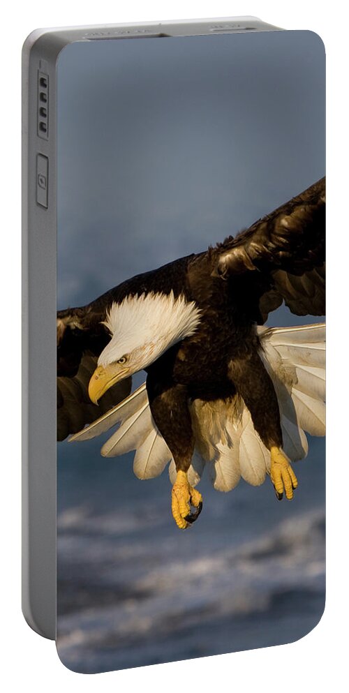 Eagle Portable Battery Charger featuring the photograph Bald Eagle in Action by Mark Miller