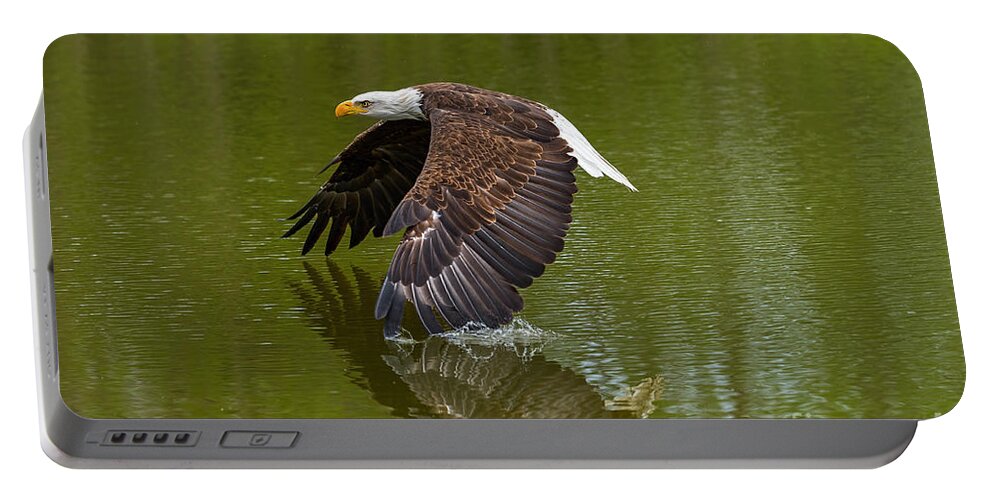 Birds Portable Battery Charger featuring the photograph Bald Eagle in low flight over a lake by Les Palenik