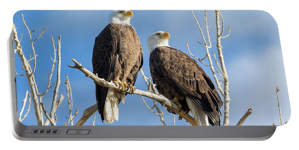 Bald Eagle Portable Battery Charger featuring the photograph Bald Eagle Pair Surveys Their Domain by Tony Hake