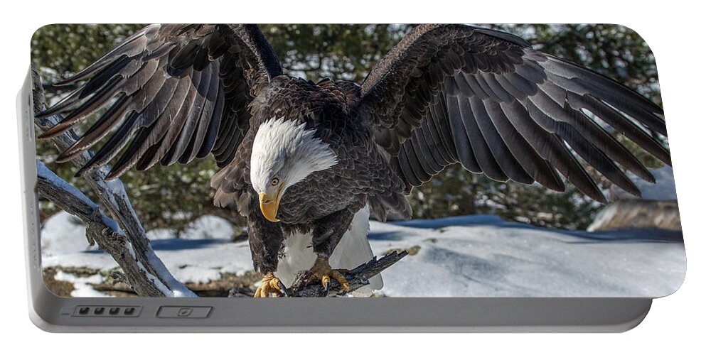 Bald Eagle Portable Battery Charger featuring the photograph Bald Eagle Spread by Dawn Key