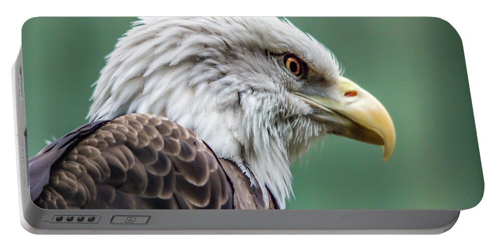Birds Portable Battery Charger featuring the photograph Bald Eagle - Vermont by John Greco