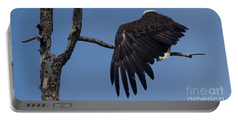 Eagle Portable Battery Charger featuring the photograph Bald Eagle Wing Stretch-Signed-#7658 by J L Woody Wooden