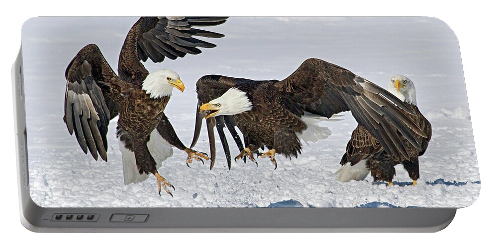 Eagle Portable Battery Charger featuring the photograph Bald Eagle's by Wesley Aston