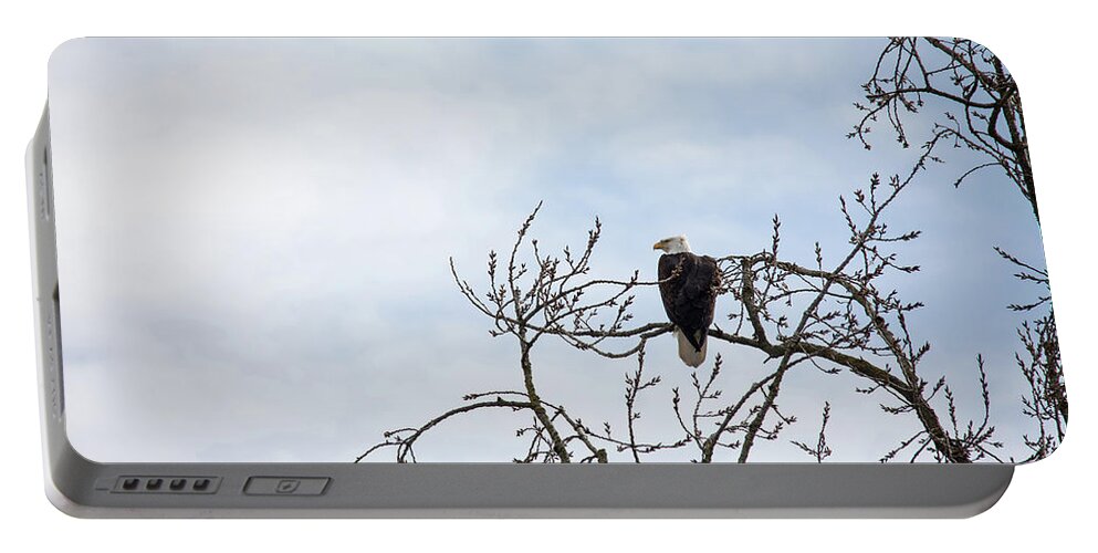 Eagle Portable Battery Charger featuring the photograph Balk Eagle by Rebecca Cozart