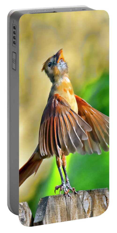 Bird Portable Battery Charger featuring the photograph Ballerina by Don Durfee