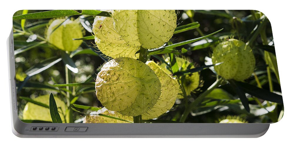 Gardens Portable Battery Charger featuring the photograph Balloon plant by Steven Ralser