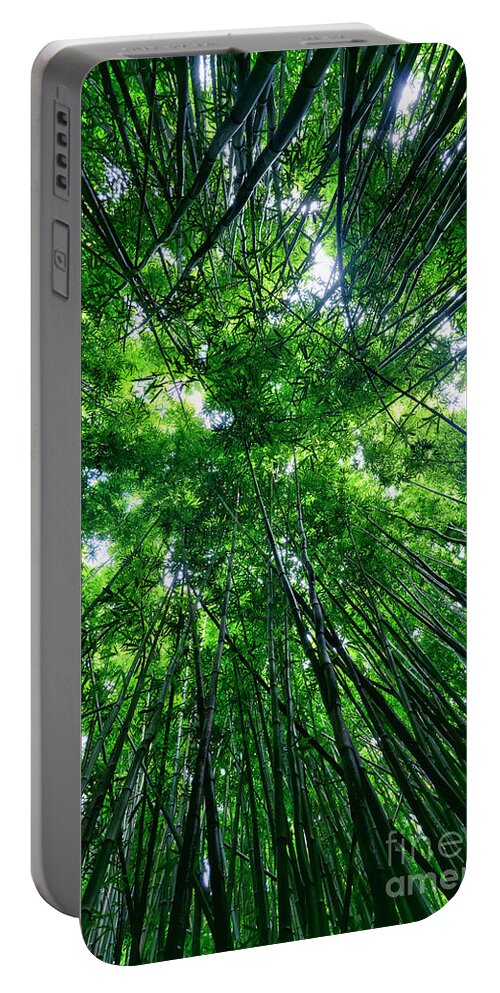 Bamboo Portable Battery Charger featuring the photograph Bamboo Forest by Eddie Yerkish