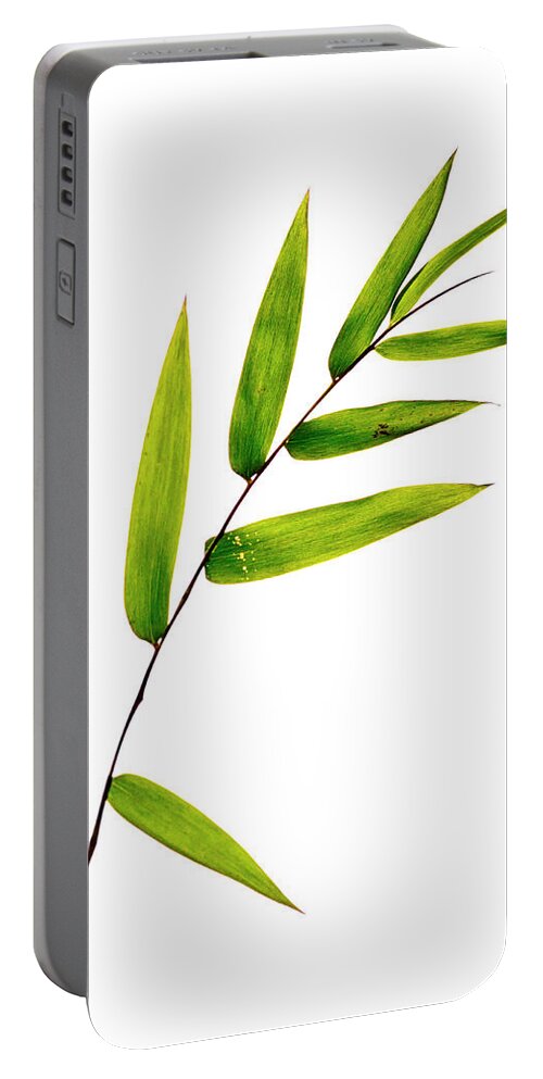 Bamboo Portable Battery Charger featuring the photograph Bamboo Leaves by Christopher Johnson