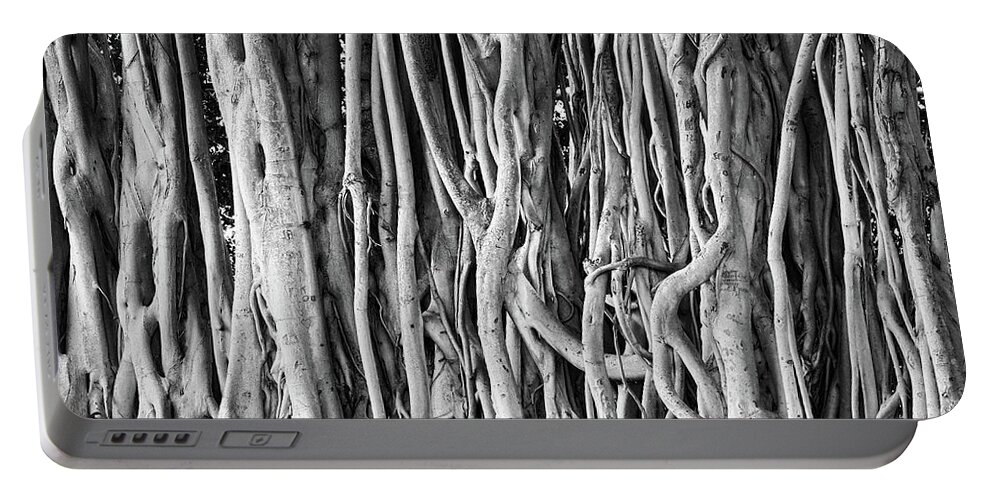Banyan Portable Battery Charger featuring the photograph Banyan BW by Rick Lawler