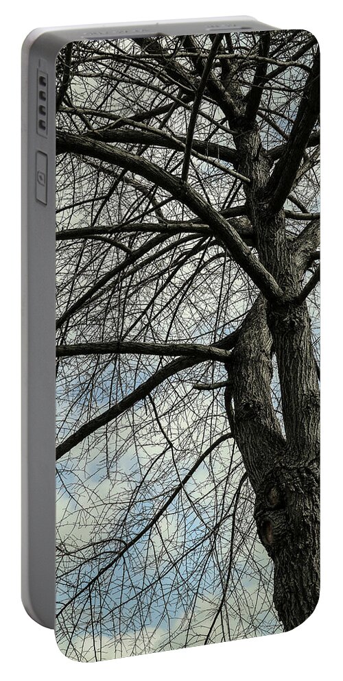 Tree Landscape Portable Battery Charger featuring the photograph Bare Naked Lady by Patrice Zinck