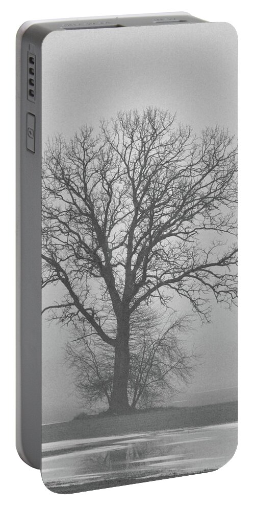 Tree Portable Battery Charger featuring the photograph Bare Tree in Fog by Nancy Landry