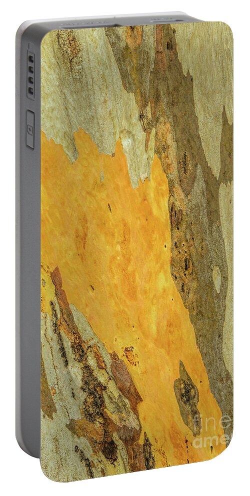 Tree Portable Battery Charger featuring the photograph Bark A10 by Werner Padarin