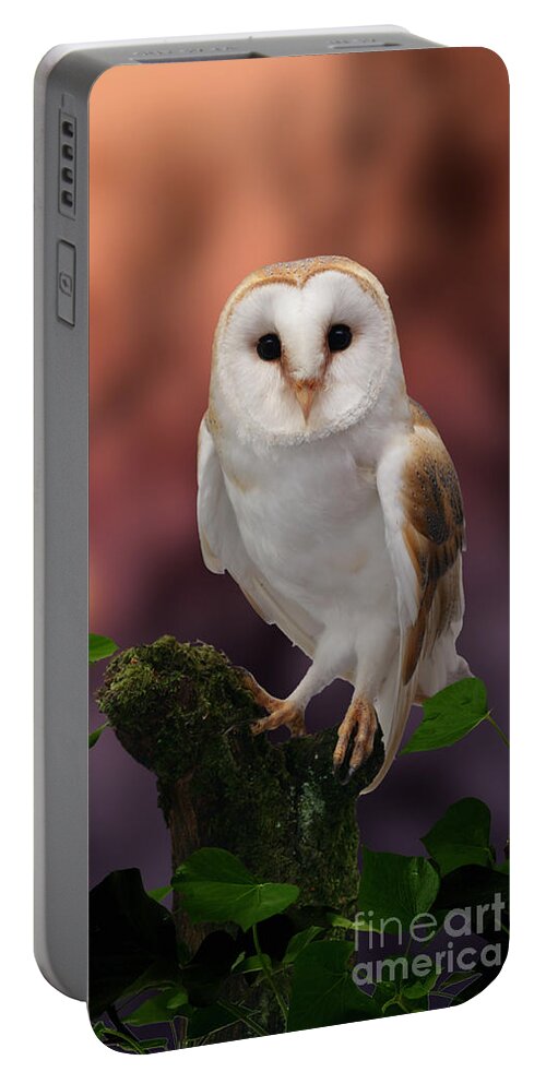Barn Owl Portable Battery Charger featuring the photograph Barn Owl at sunset by Warren Photographic